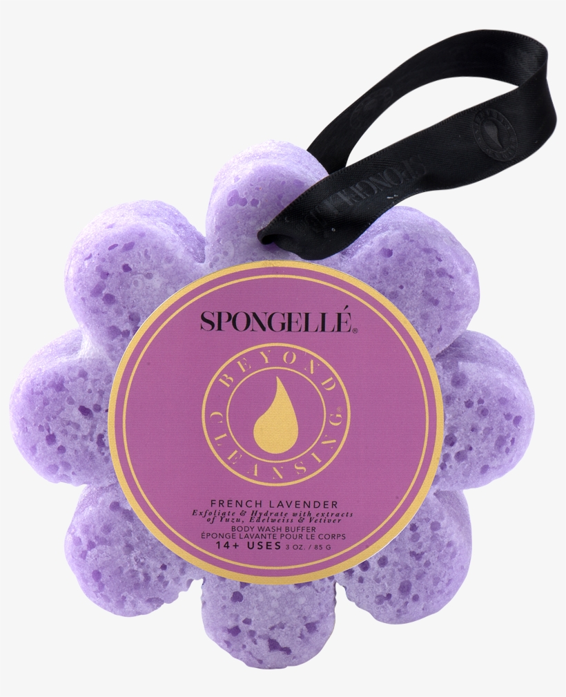 Wild Flowers - Fleurs Sauvages - French Lavender - Spongella, transparent png #8074458