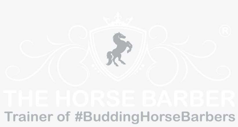 Explore - El Patron, transparent png #8075573