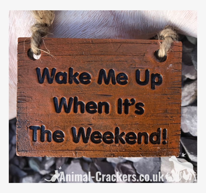 'wake Me Up When It's The Weekend' Sign Sleeping Pig - Squirrel, transparent png #8075953