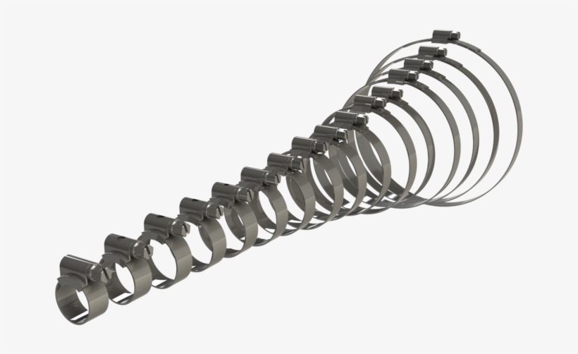 Bone, transparent png #8076585