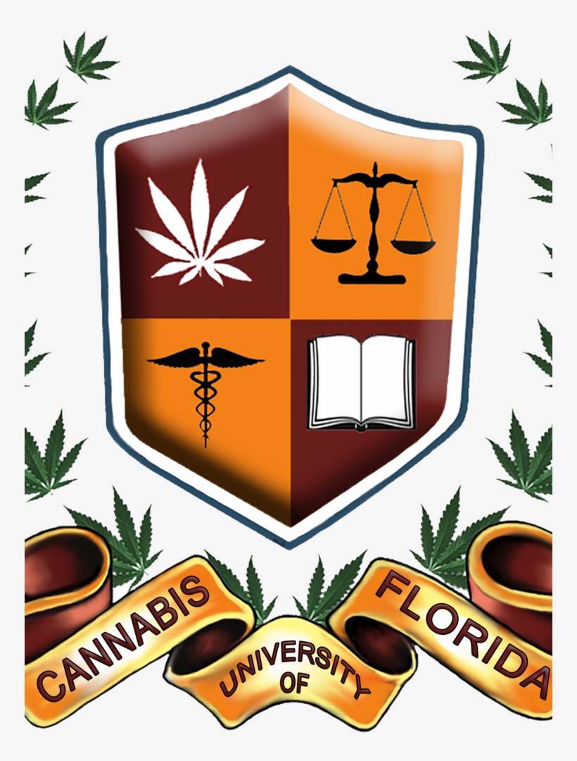 Donavan Carr Founded The Cannabis University Of Florida - Rohingya Society In Malaysia, transparent png #8078235