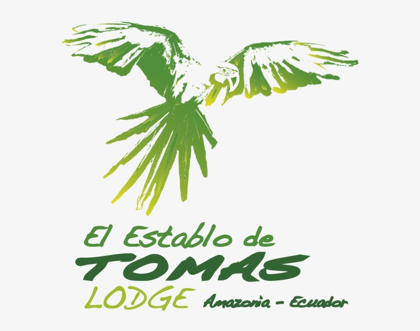 Ubicación En Tena - Petra Sihombing, transparent png #8078276