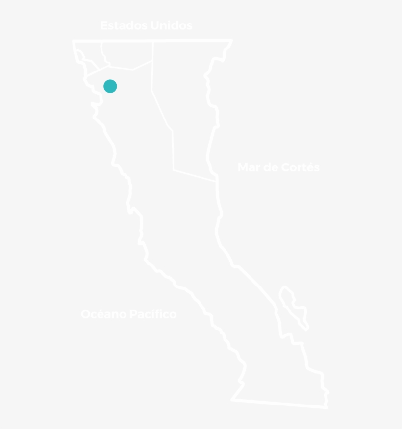 Baja's Wine Country Is Comprised Of Over 150 Wineries - Circle, transparent png #8079322
