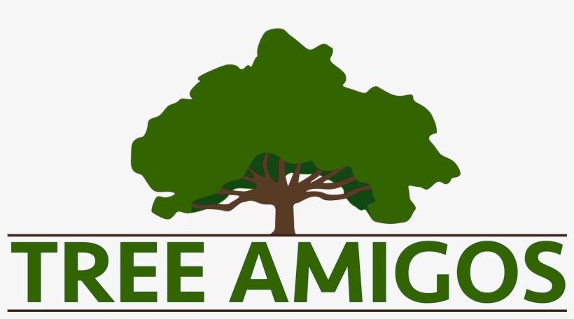 Tree Amigos, transparent png #8080384