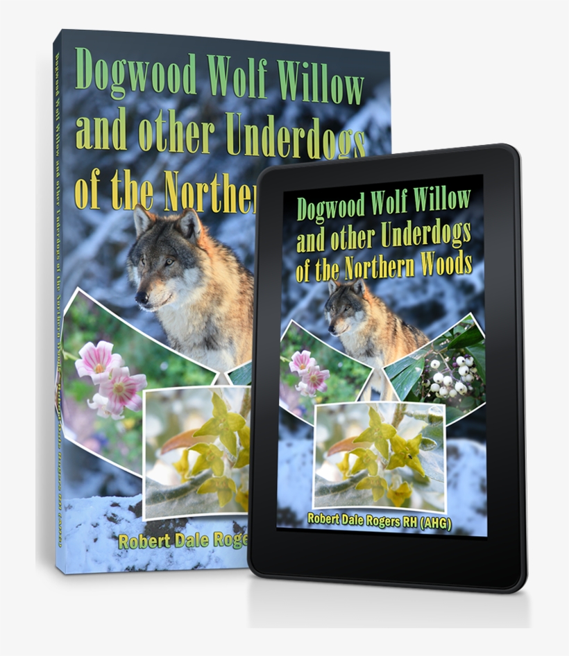 Dogwood - Book Cover, transparent png #8081567