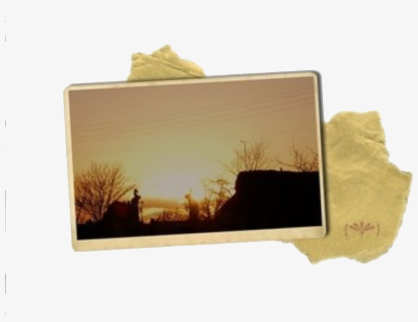 Yellow Brown Photo Polyvore Moodboard Filler Overlays, - Niche Meme Fillers Png, transparent png #8081950