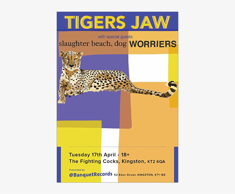 Tigers Jaw / Worriers / Slaughter Beach, Dog - Cheetah, transparent png #8082150