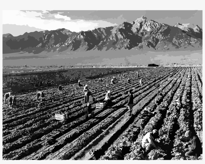 This Free Icons Png Design Of Ansel Adams, transparent png #8082645