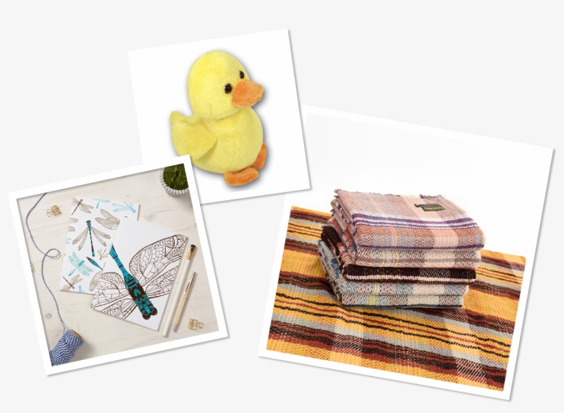 Shop Polaroids - Bath Toy, transparent png #8083270