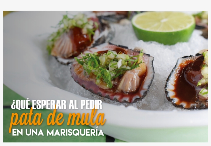¿qué Esperar Al Pedir Pata De Mula En Una Marisquería - Lemon, transparent png #8083577