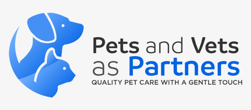 Website Logo - Graphic Design, transparent png #8083999
