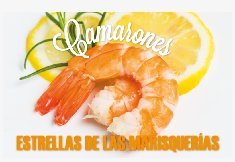 Estrellas De Las Marisquerías - Shrimp, transparent png #8084198