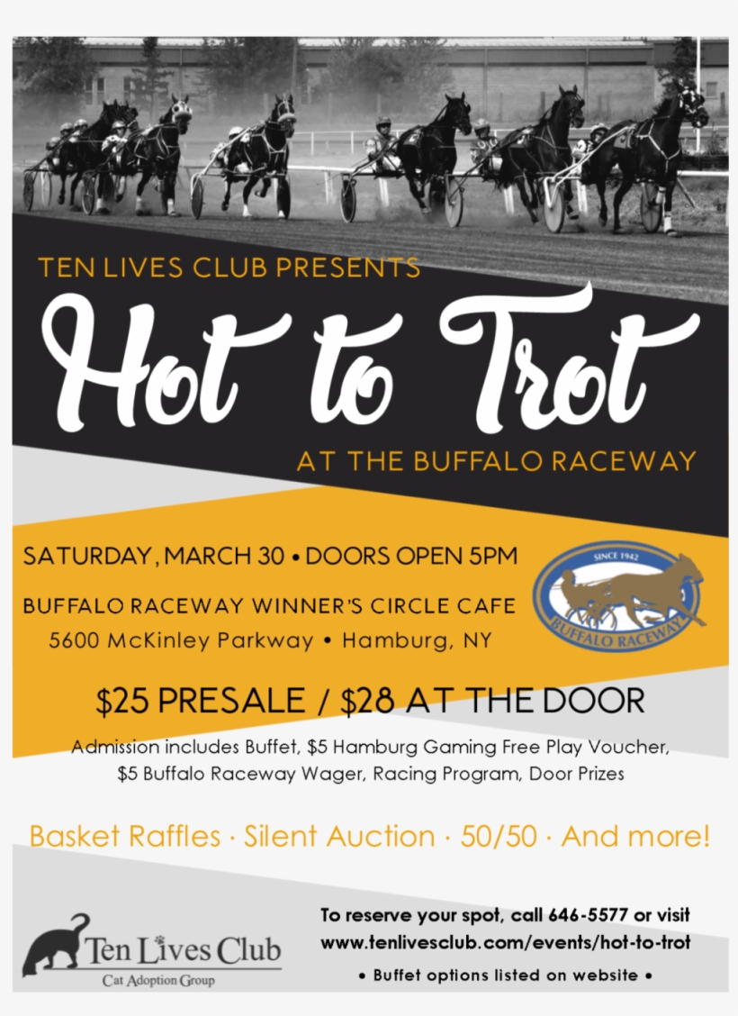 Hot To Trot Flyer - Flyer, transparent png #8084450