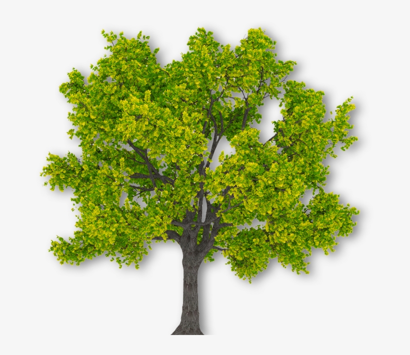 Building Wealth - Plane, transparent png #8086689