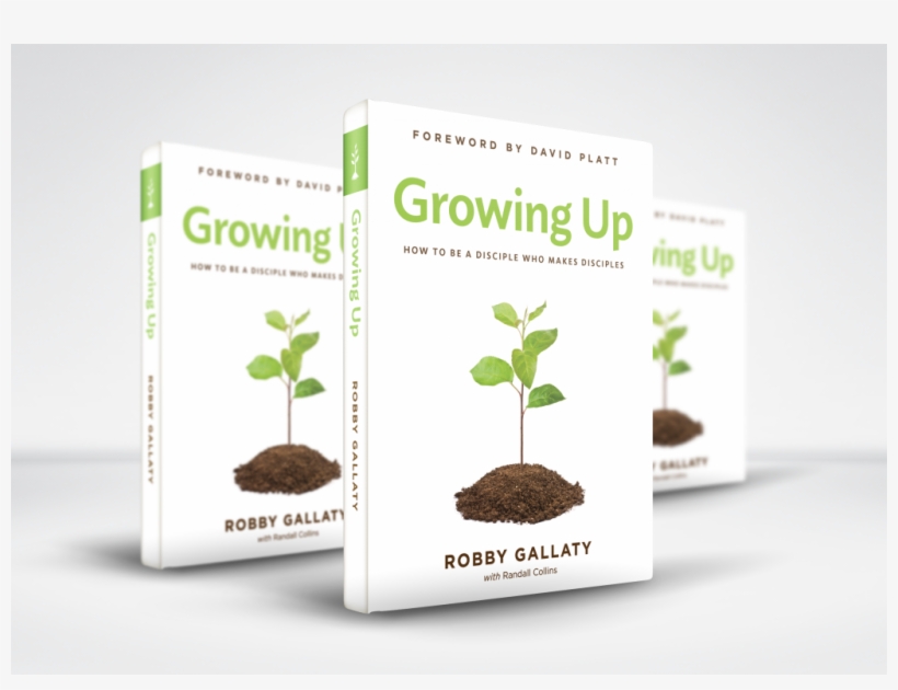 Chapter 1 Of Growing Up - Three Books Mockup, transparent png #8087689