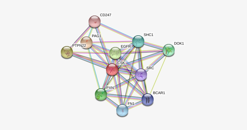 Circle, transparent png #8088478