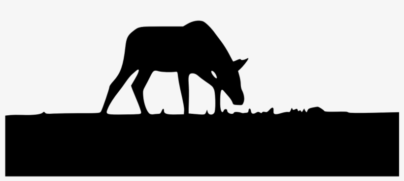 Ground Silhouette Png, transparent png #8089000