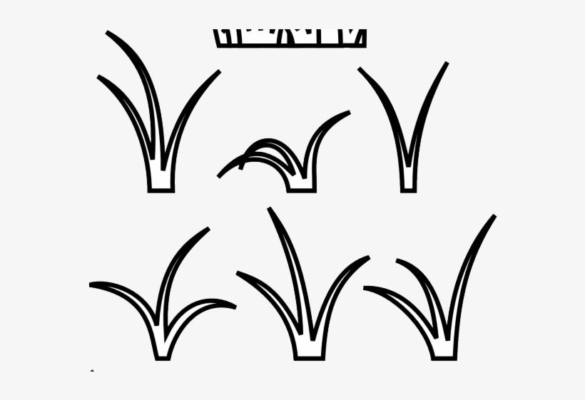 Seaweed Clipart Gress - Lines Like Grass, transparent png #8091457