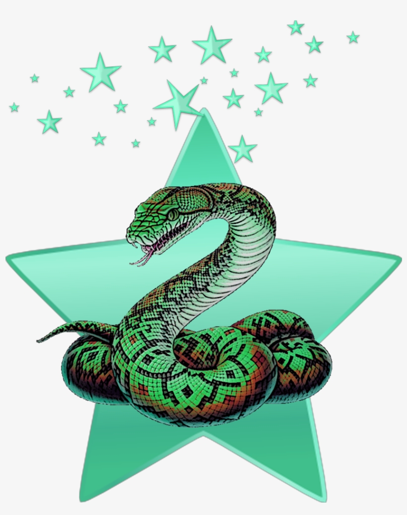 Mq Green Snake Stars Star Animal, transparent png #8091897