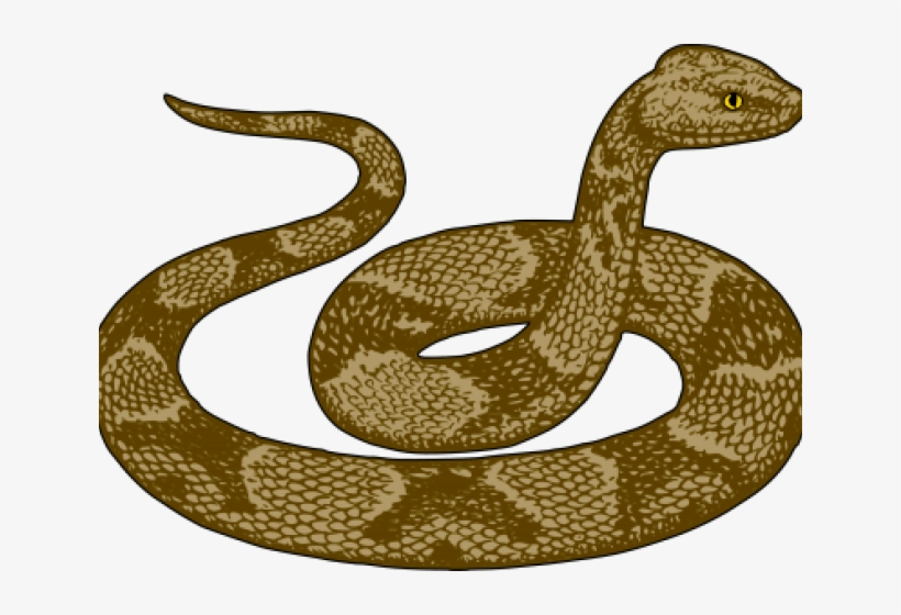 Smooth Green Snake Clipart Diary - Hình Ảnh Con Trăn, transparent png #8092189