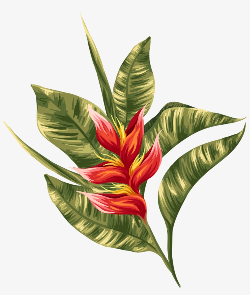 Tropical - Painting, transparent png #8092284