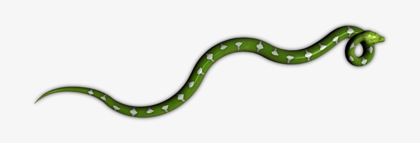 54 65k Python Tree Lrk E 05 Feb 2009 - Common Kingsnake - Free ...