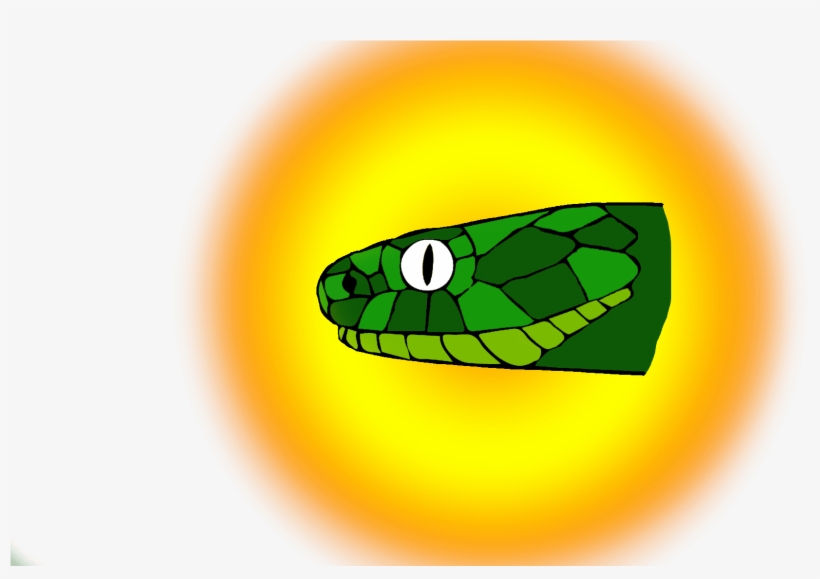 Snake - Western Green Mamba, transparent png #8092520