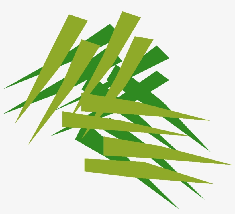 Grass, transparent png #8092770