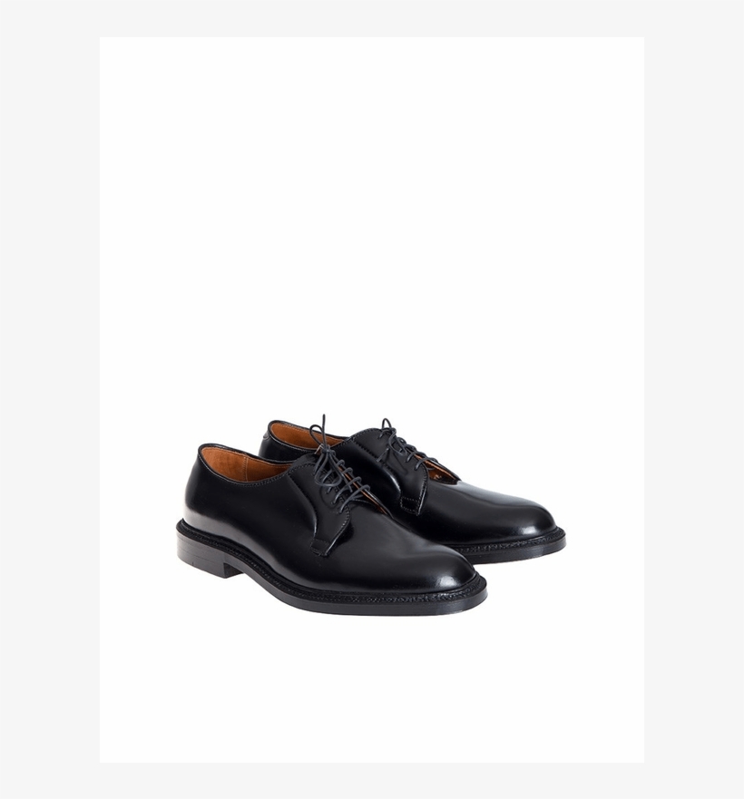 Alden Lace-up Shoes Made Of Cordovan Model Derby Black - Leather, transparent png #8093611