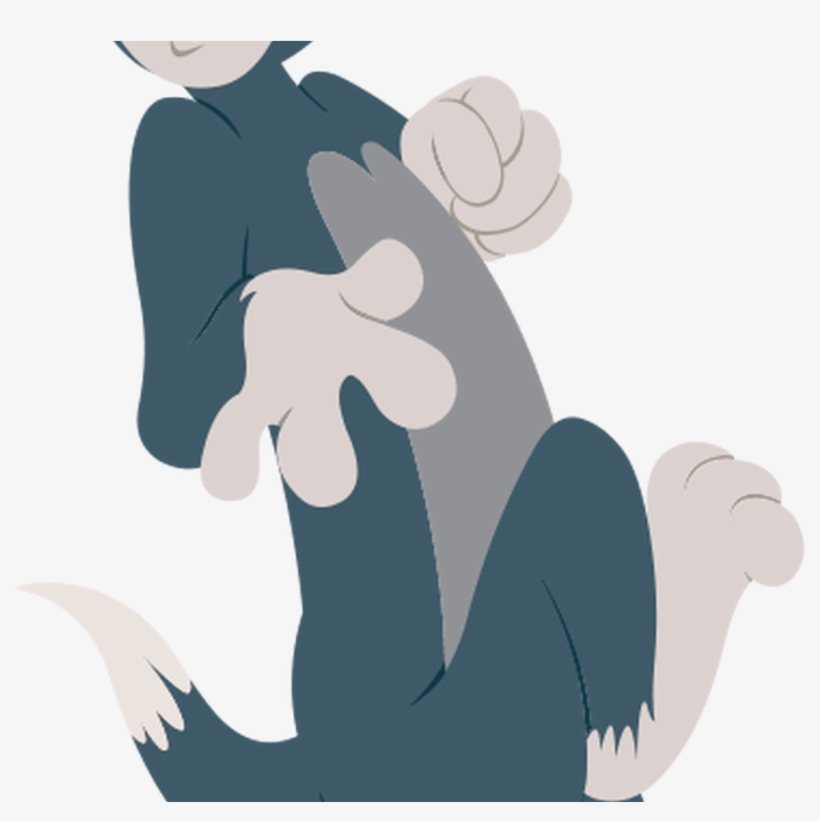 Tom From Tom And Jerry, transparent png #8094458
