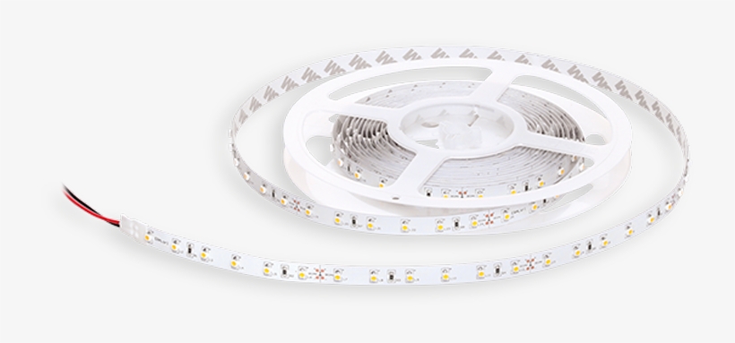 Circle, transparent png #8094463