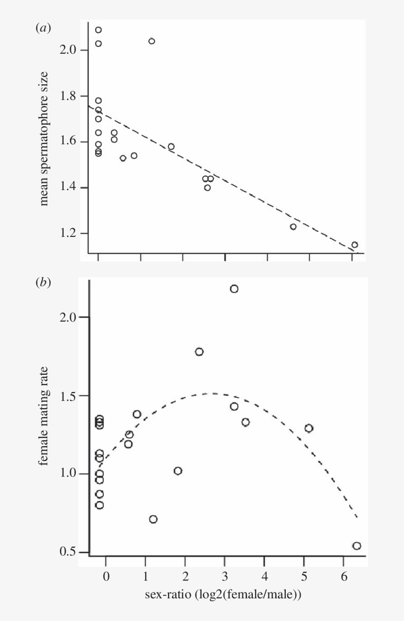 Download - Diagram, transparent png #8094740