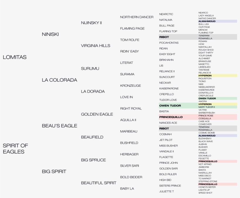 Silvano Tabulated Pedigree - Document, transparent png #8096201