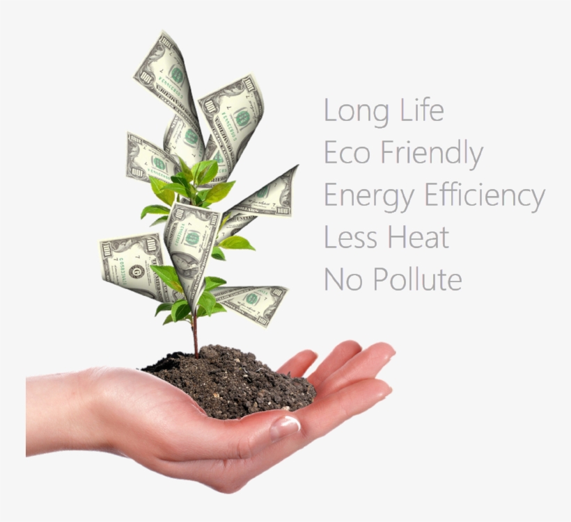 Energy Solutions Facts - Dinheiro Da Em Arvore, transparent png #8096314