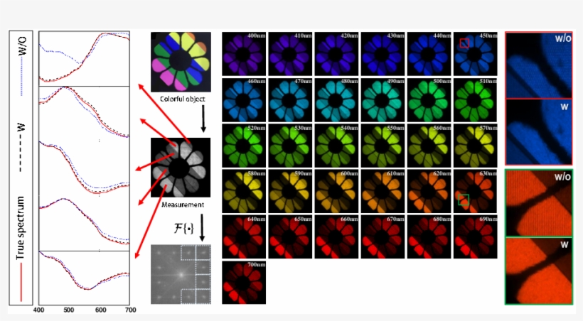 The Experimental Reconstruction Of A Flower Film With - Graphic Design, transparent png #8097403