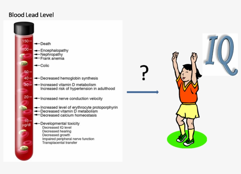 Assume That In Our Study We Identify Whether Each Child - Lead Poisoning In Children, transparent png #8098245