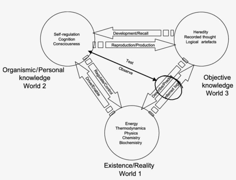 Karl Popper's Three Worlds Of Knowledge - Popper Three Worlds, transparent png #8098308