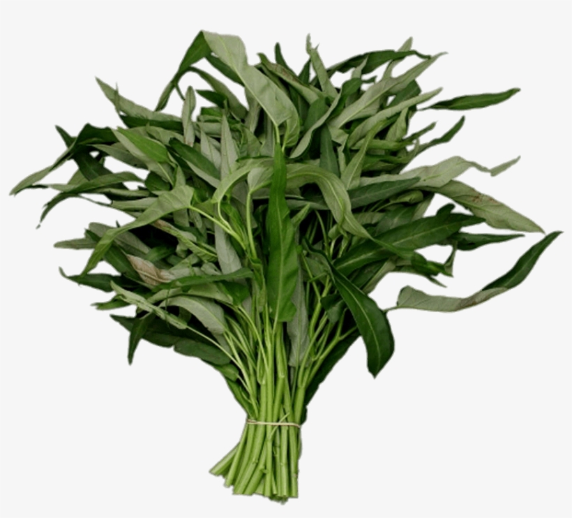 Download - Kang Kong, transparent png #8098370