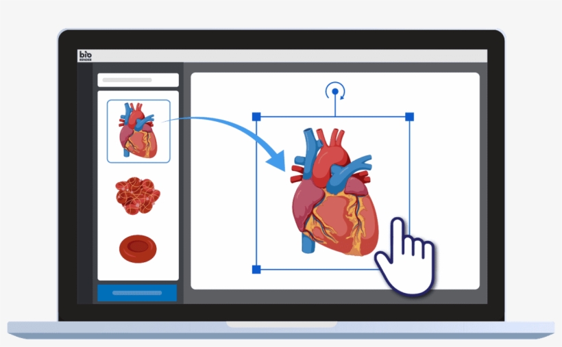 Drag And Drop Science Icons To Create Science Figures - Slam Dunk, transparent png #8098371