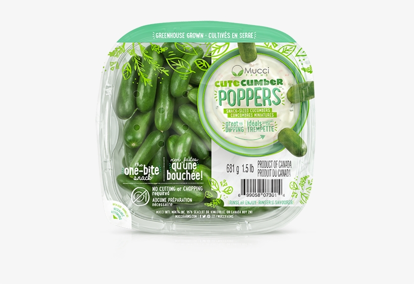 Cutecumber Poppers - Mucci Cutecumber, transparent png #8098730