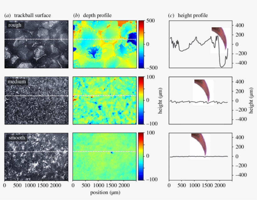 Profilometer Measurements Of The Rough, Medium And - Diagram, transparent png #8099209