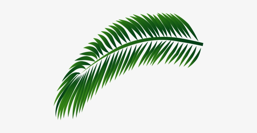 Decorative Leaf - Leaf, transparent png #810216