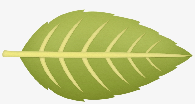 3d Patternpatternstree - Circle, transparent png #810241