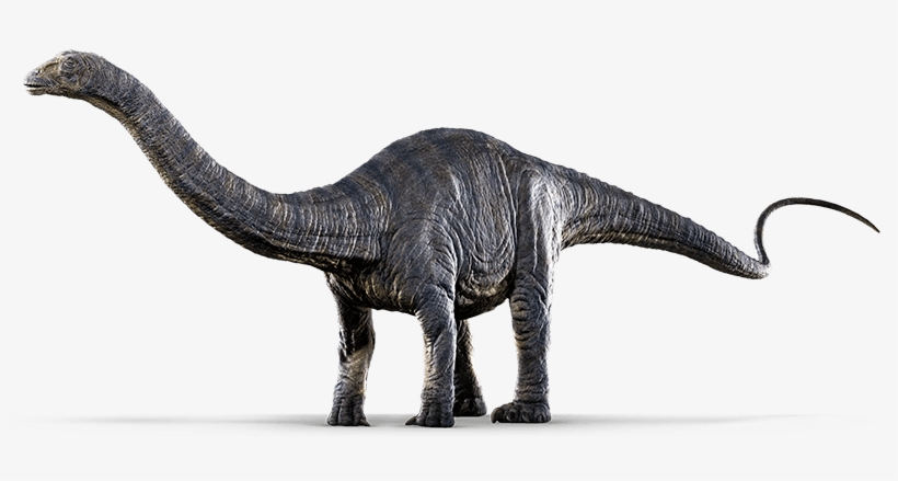 Jurassic Park Transparent Png - Apatosaurus Jurassic World, transparent png #810286
