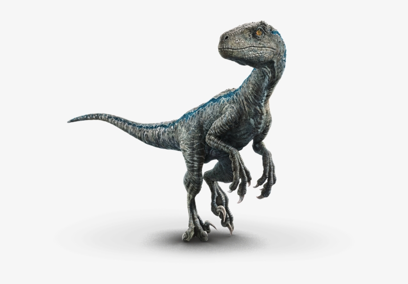Blue - Blue Jurassic World Hearts, transparent png #810328