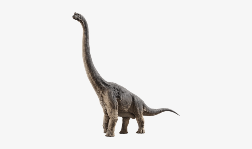 Brachiosaurus - Jurassic World Fallen Kingdom Stegosaurus, transparent png #810436