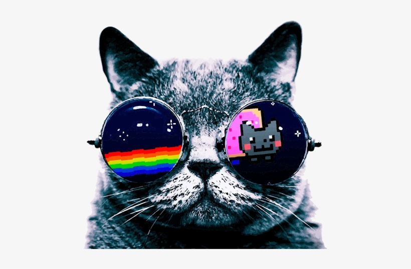Cool Cat Pillow Case, transparent png #810871