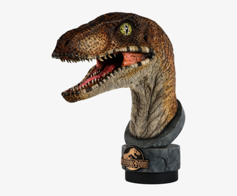 Out Of Stock Jurassic Park™ - Jurassic Park Raptor Bust, transparent png #810897