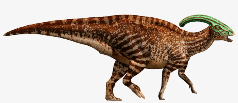 Parasaurolophus - Parasaurolophus Dinosaur, transparent png #810926