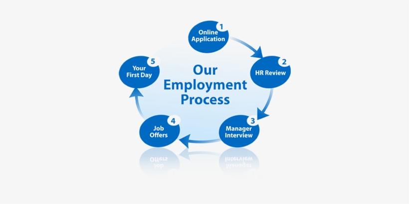 There May Be Small Differences In The Employment Process - Employee Hiring Process, transparent png #812064